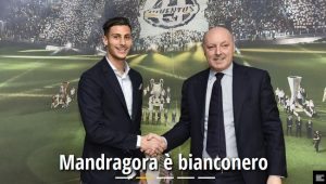 Mandragora ufficiale