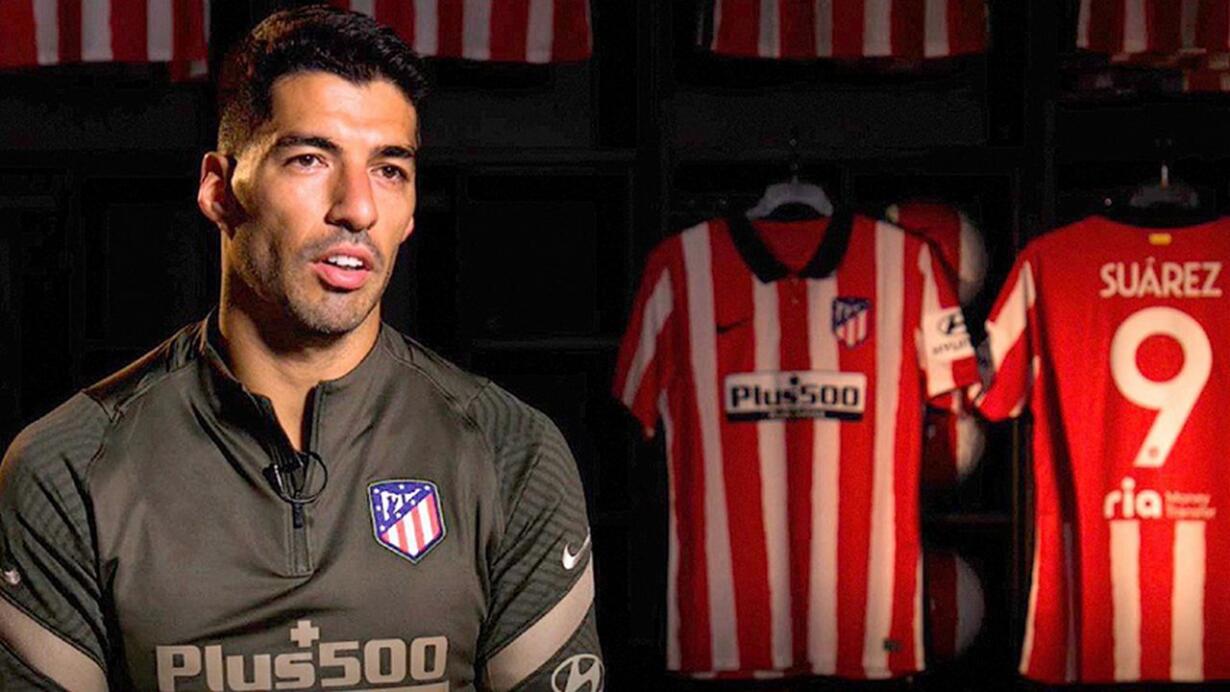 suarez interrogatorio perugia