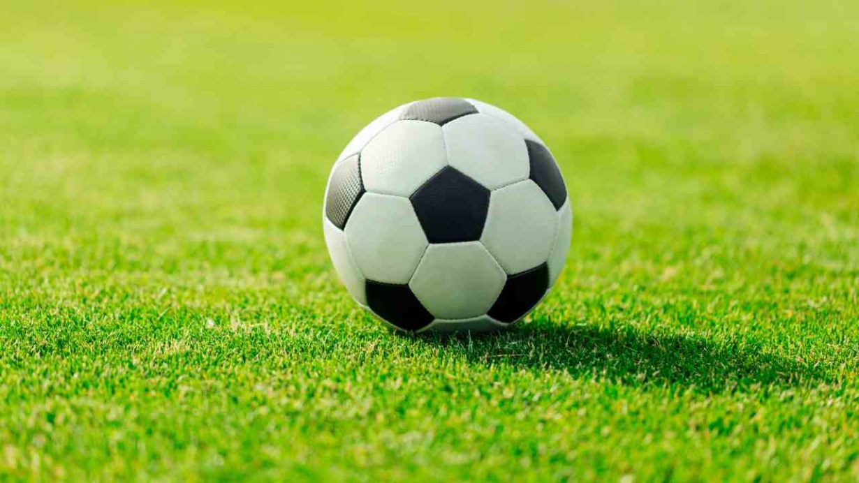 Pallone da calcio